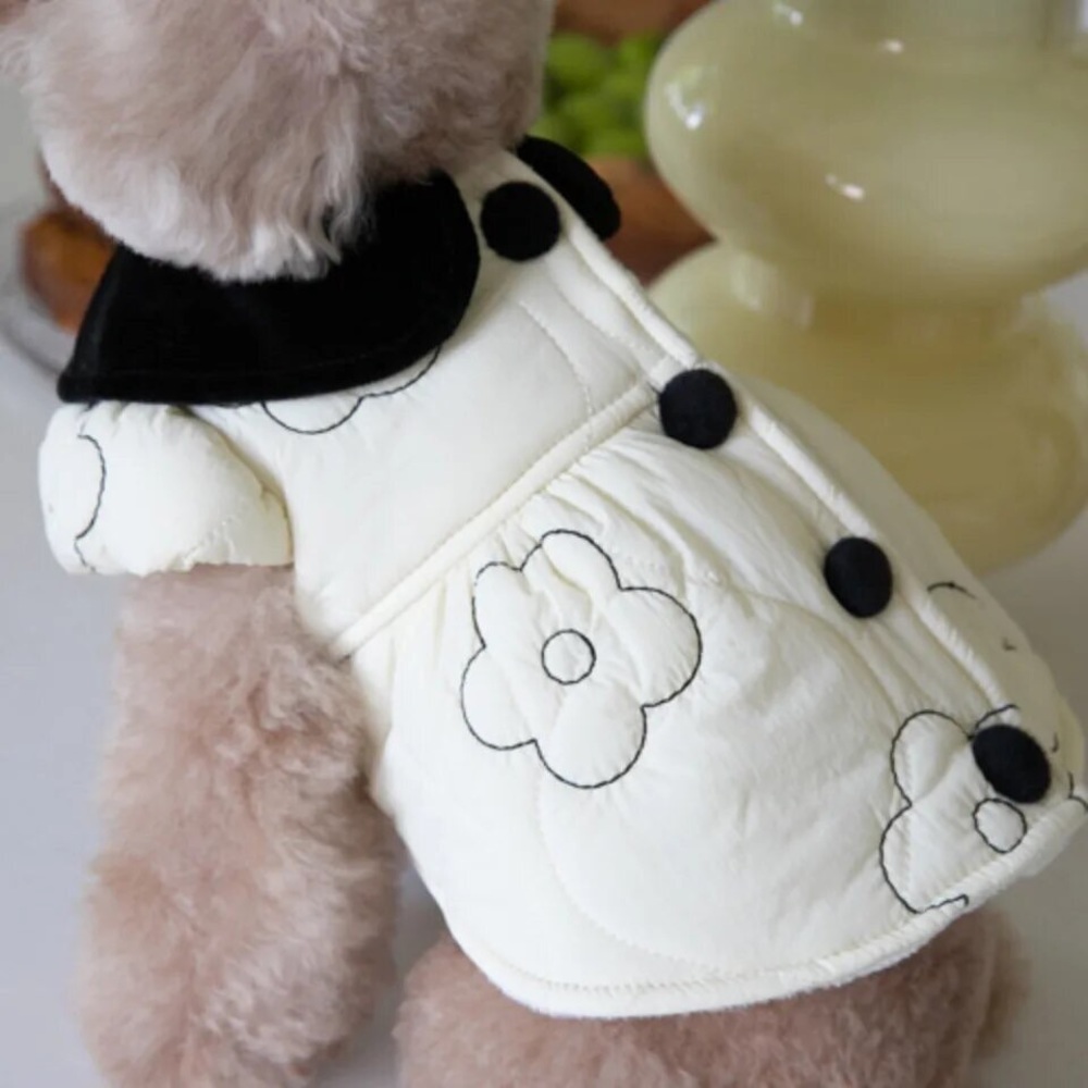Cat coat jacket floral puff Daisy white cream puff sleeve clothing - Picture 3 of 6